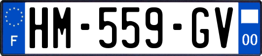 HM-559-GV