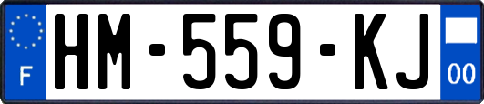 HM-559-KJ