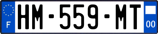 HM-559-MT