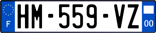 HM-559-VZ