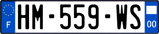 HM-559-WS
