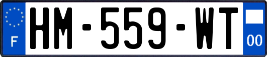 HM-559-WT