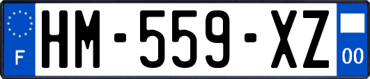 HM-559-XZ