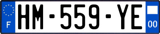 HM-559-YE