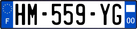 HM-559-YG