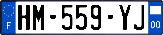 HM-559-YJ