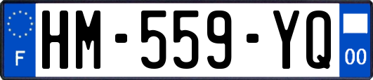 HM-559-YQ