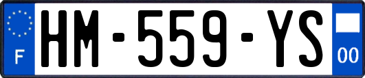 HM-559-YS