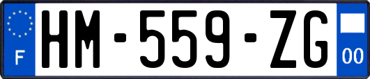 HM-559-ZG