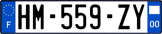 HM-559-ZY