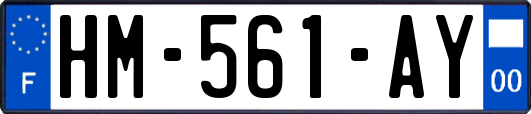 HM-561-AY