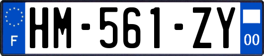 HM-561-ZY