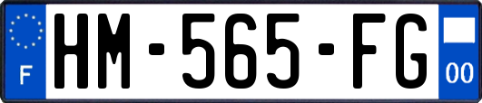 HM-565-FG