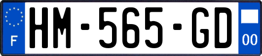 HM-565-GD