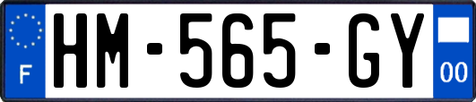 HM-565-GY