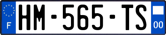 HM-565-TS