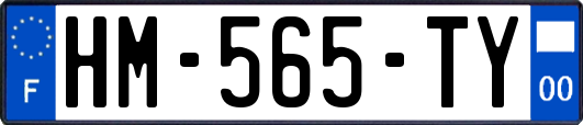 HM-565-TY