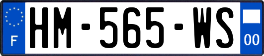 HM-565-WS