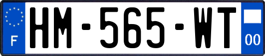 HM-565-WT