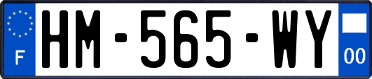 HM-565-WY