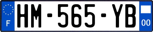 HM-565-YB