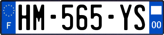 HM-565-YS