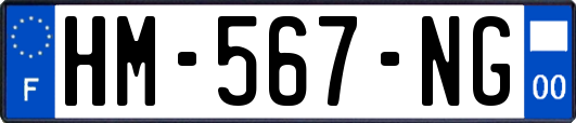 HM-567-NG