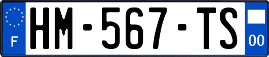 HM-567-TS