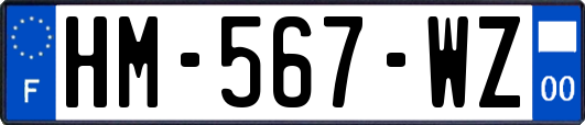 HM-567-WZ