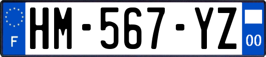 HM-567-YZ