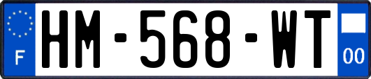 HM-568-WT