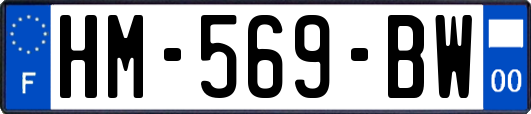 HM-569-BW