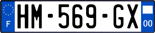 HM-569-GX