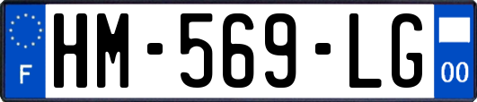 HM-569-LG
