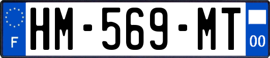 HM-569-MT