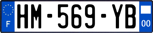 HM-569-YB