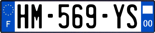 HM-569-YS