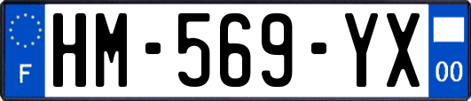 HM-569-YX