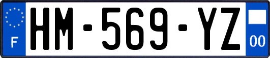 HM-569-YZ