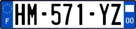 HM-571-YZ