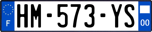 HM-573-YS