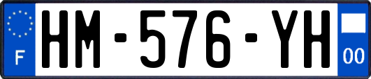 HM-576-YH