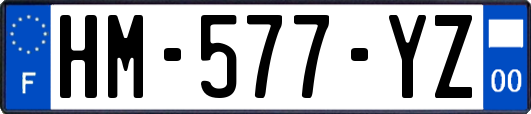 HM-577-YZ