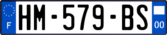 HM-579-BS