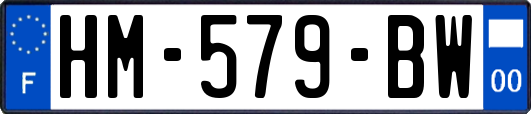 HM-579-BW
