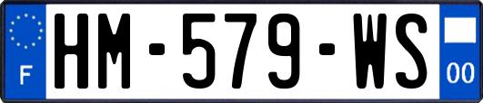 HM-579-WS