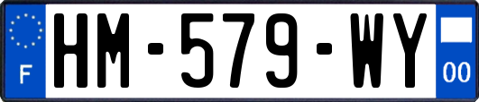 HM-579-WY