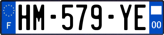 HM-579-YE