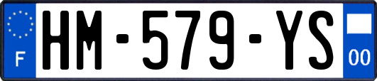 HM-579-YS