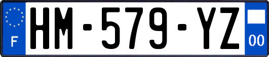 HM-579-YZ